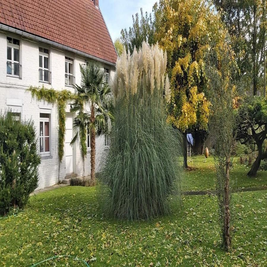 Gite La Riviera Wargnies-le-Grand ภายนอก รูปภาพ