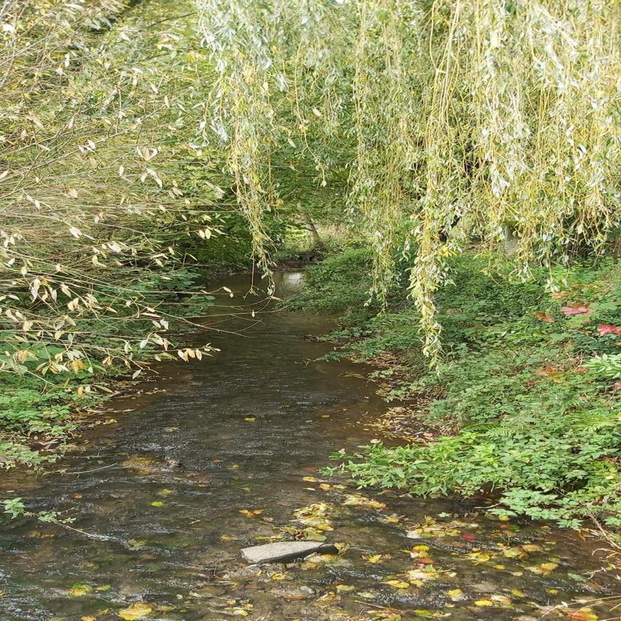 Gite La Riviera Wargnies-le-Grand ภายนอก รูปภาพ